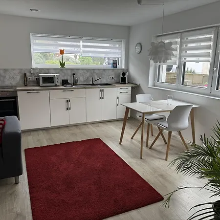 Ferienwohnung Alina Sinsheim Exterior photo