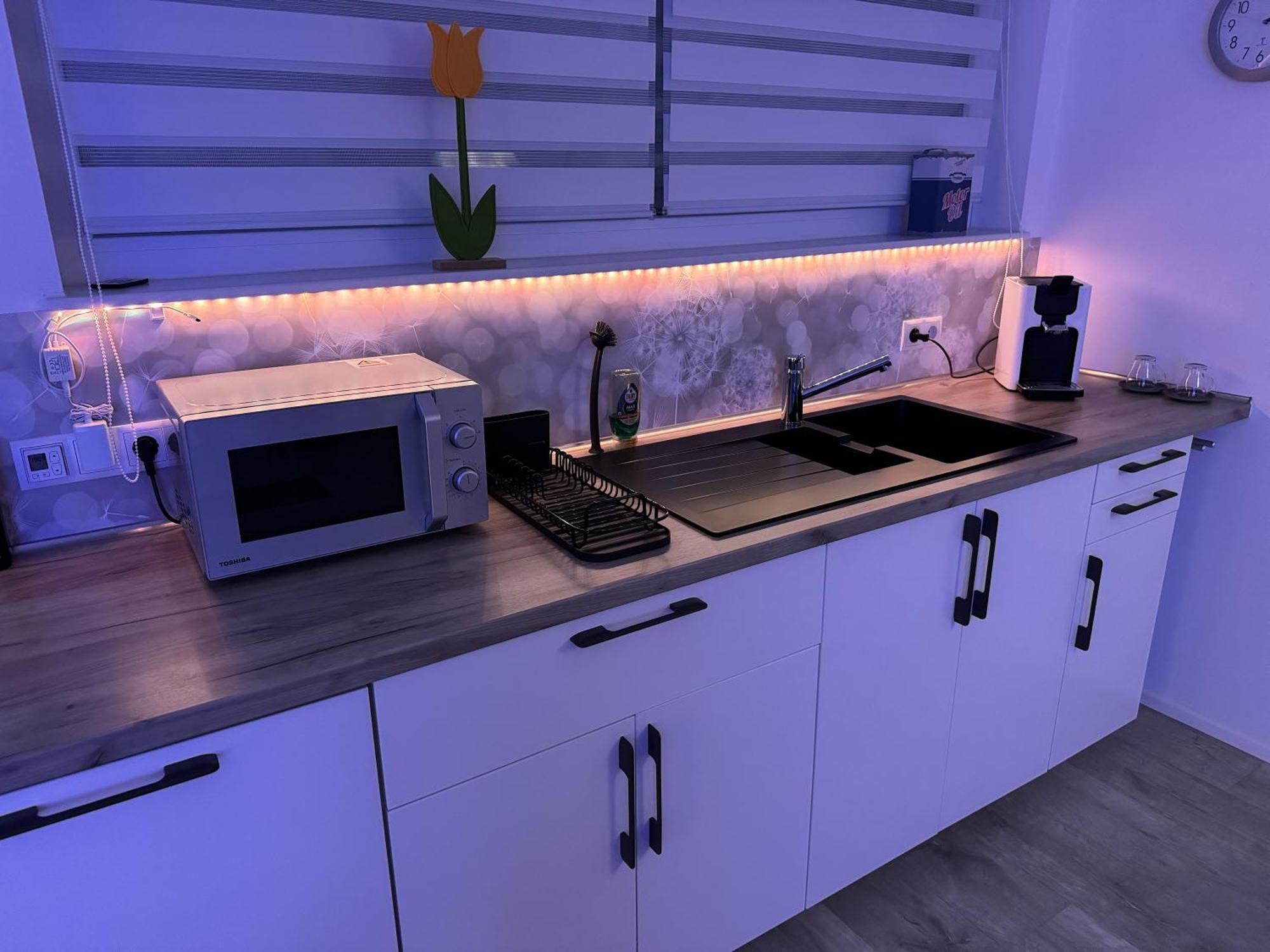 Alina Apartment Sinsheim