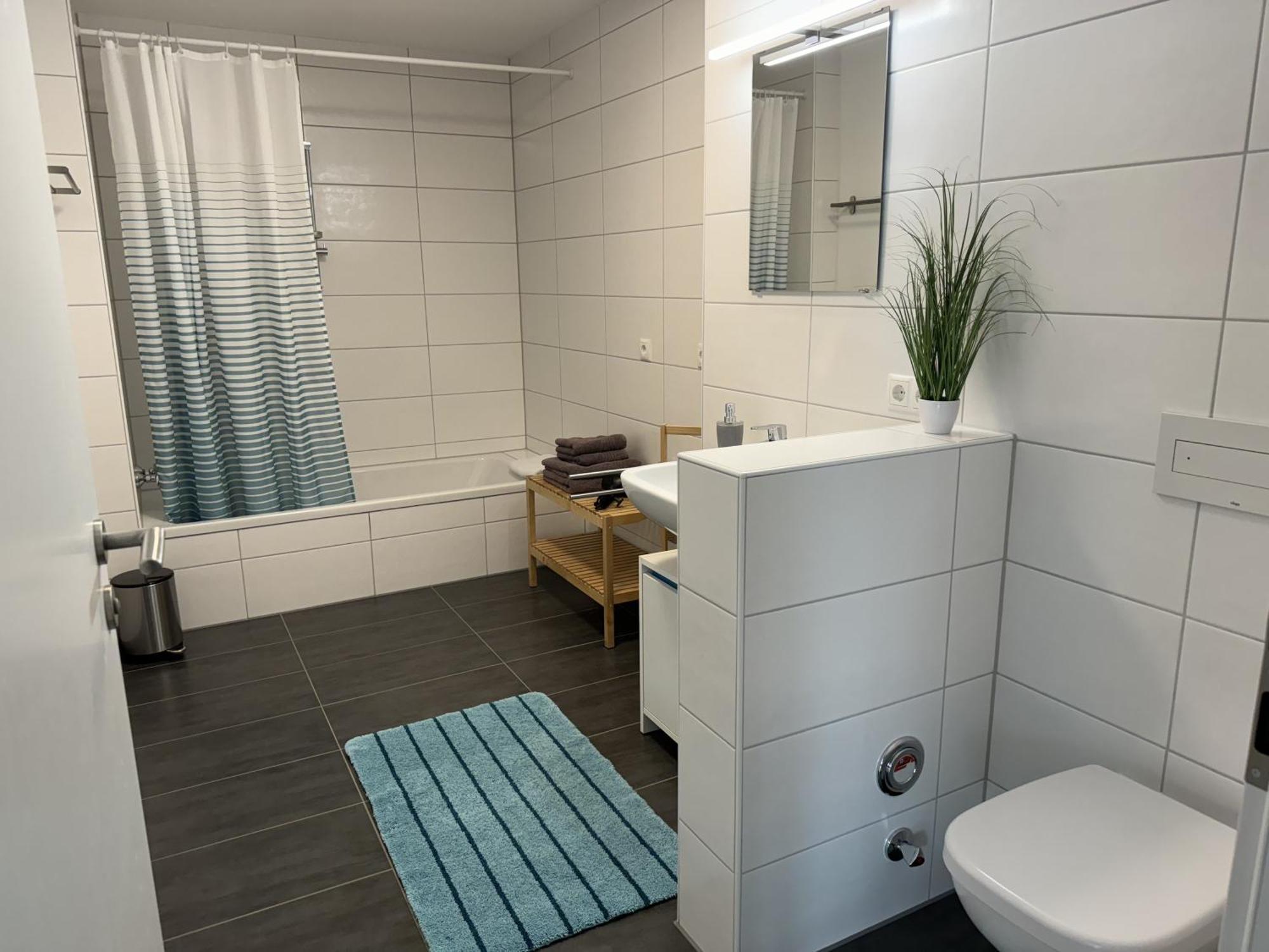 Alina Apartment Sinsheim